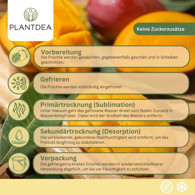 Gefriergetrocknete Mangoscheiben