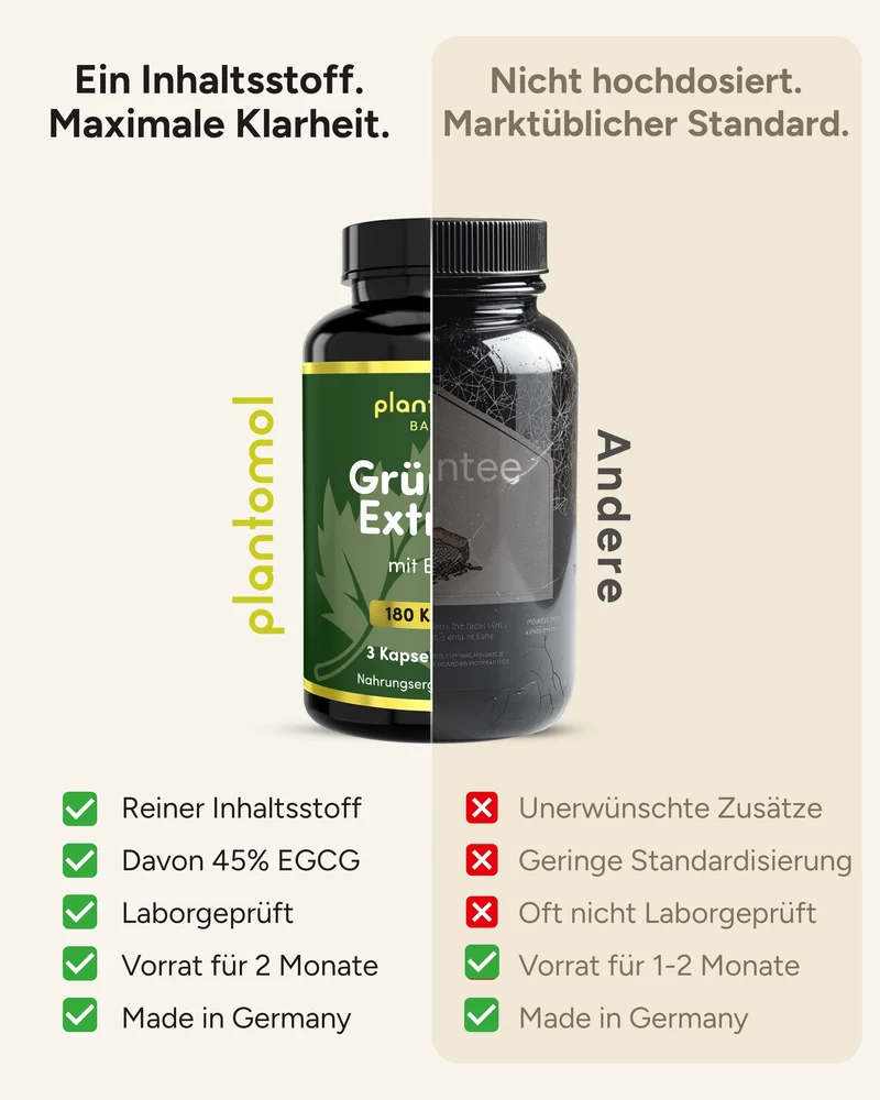 Grüner Tee Extrakt - 472,5mg pro Tag