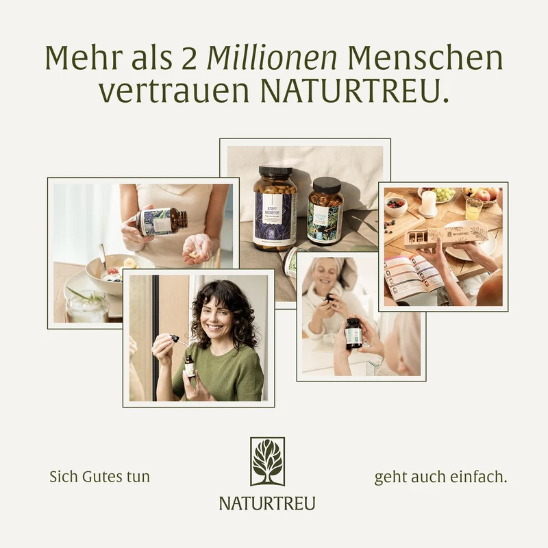 Innere Stärke Sparpaket: Nervenstark & Blutkraft