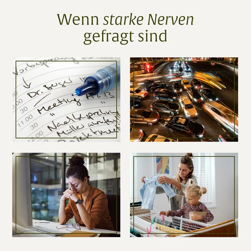 Starke Nerven Sparpaket: Kraftreserve & Nervenstark