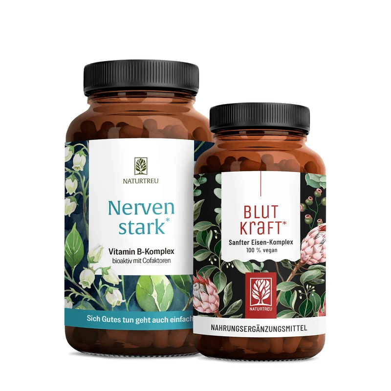 Innere Stärke Sparpaket: Nervenstark & Blutkraft