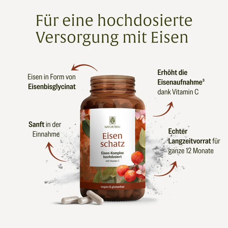 Eisenschatz: Eisen-Komplex hochdosiert