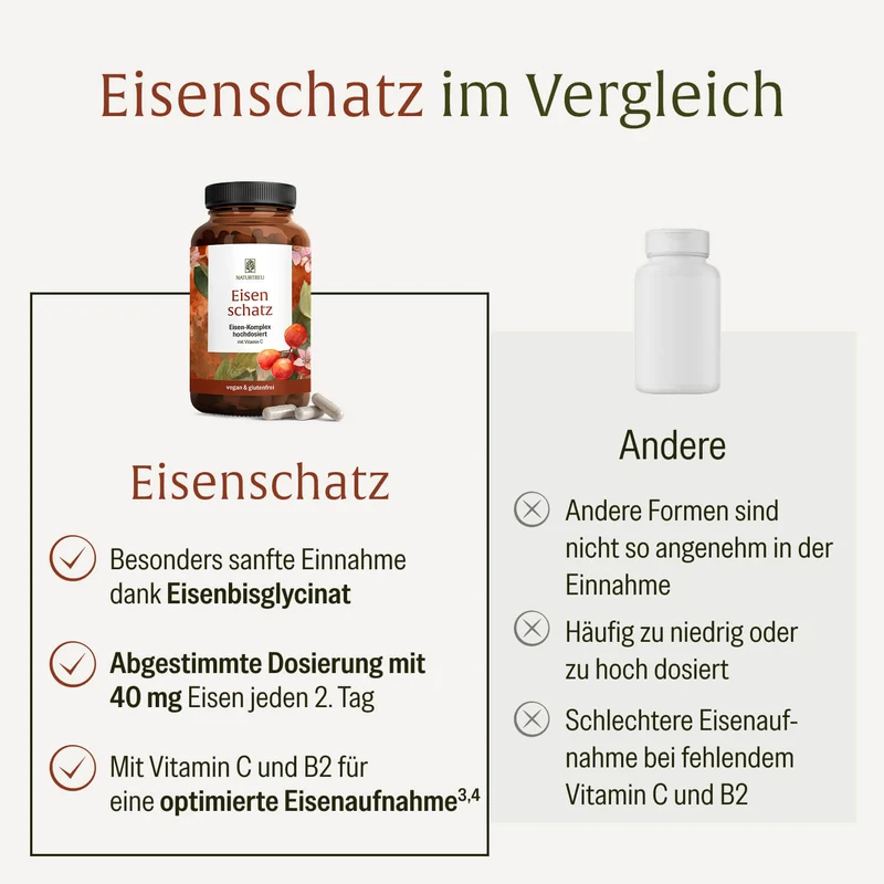 Eisenschatz: Eisen-Komplex hochdosiert