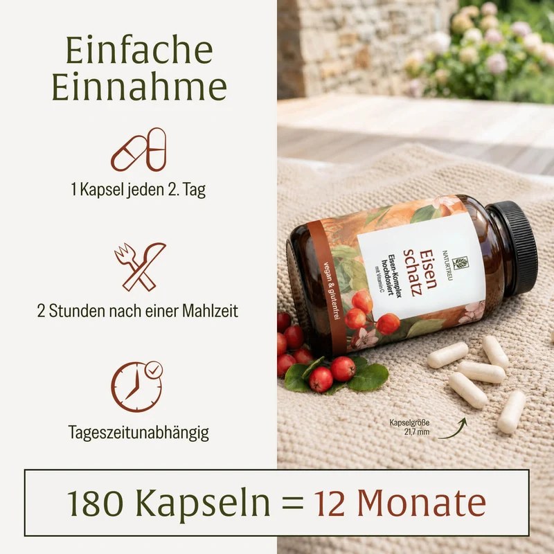 Eisenschatz: Eisen-Komplex hochdosiert