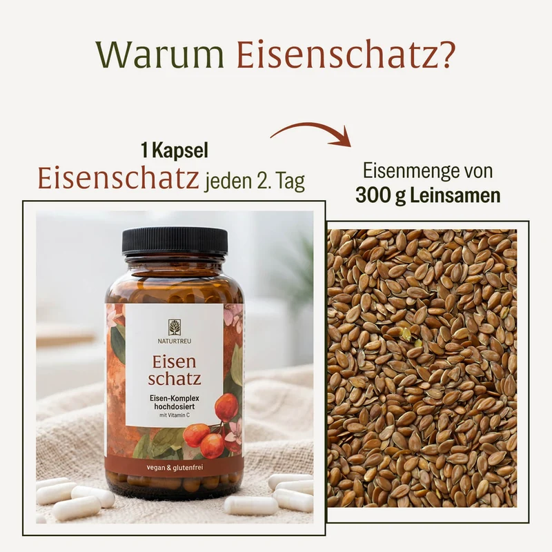 Eisenschatz: Eisen-Komplex hochdosiert