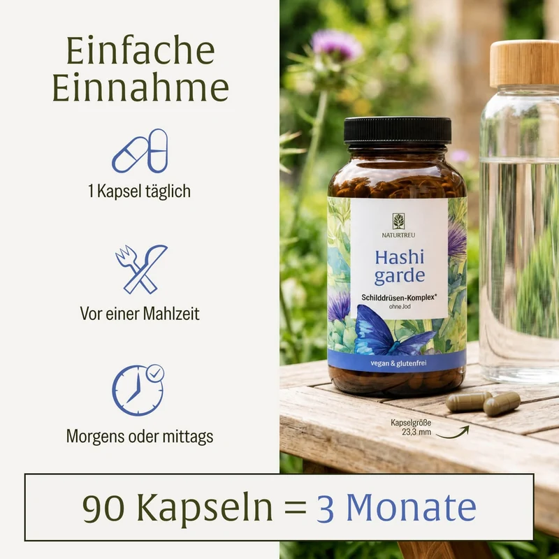 Hashigarde: Schilddrüsen Komplex ohne Jod