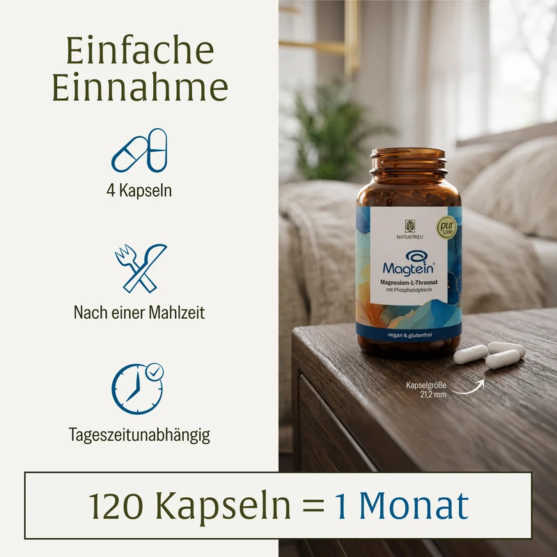 Magtein®: Magnesium-L-Threonat mit Phosphatidylserin