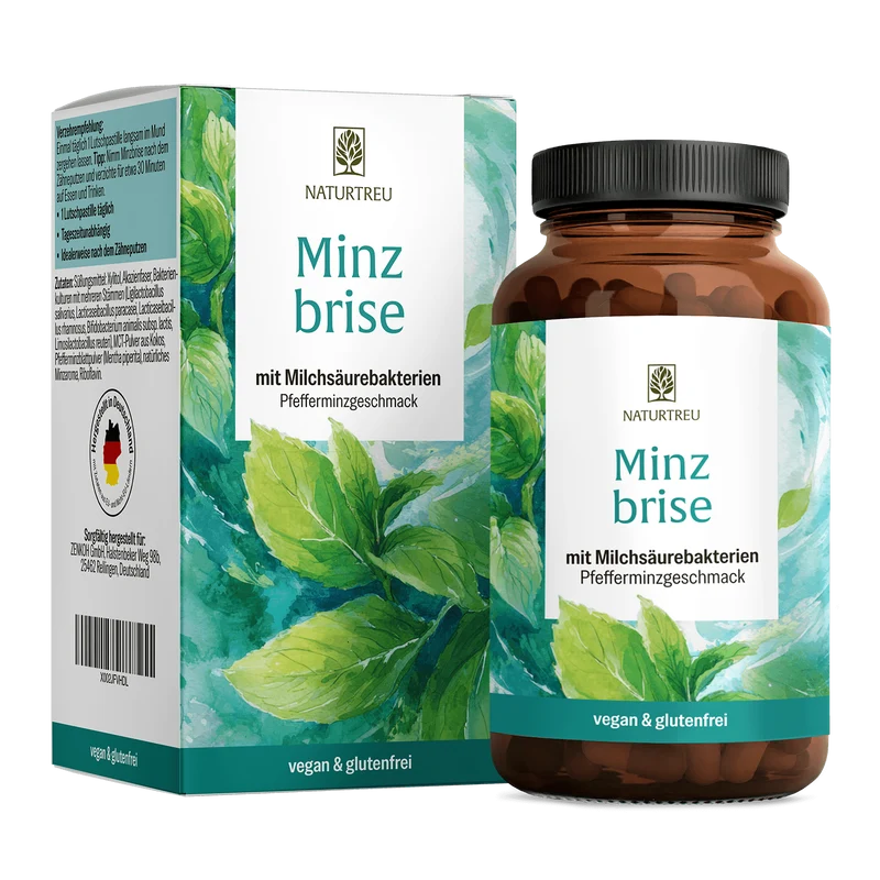 Minzbrise mit Milchsäurebakterien