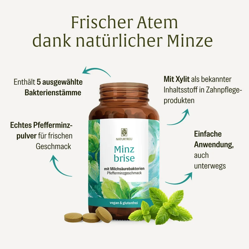 Minzbrise mit Milchsäurebakterien