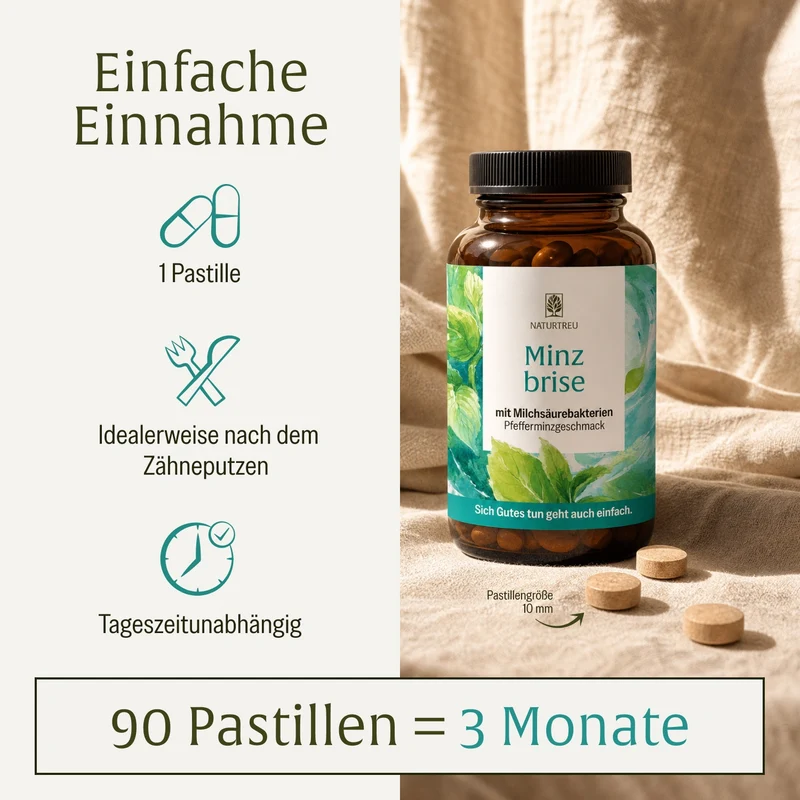 Minzbrise mit Milchsäurebakterien