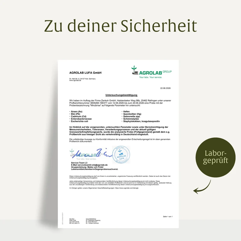Minzbrise mit Milchsäurebakterien
