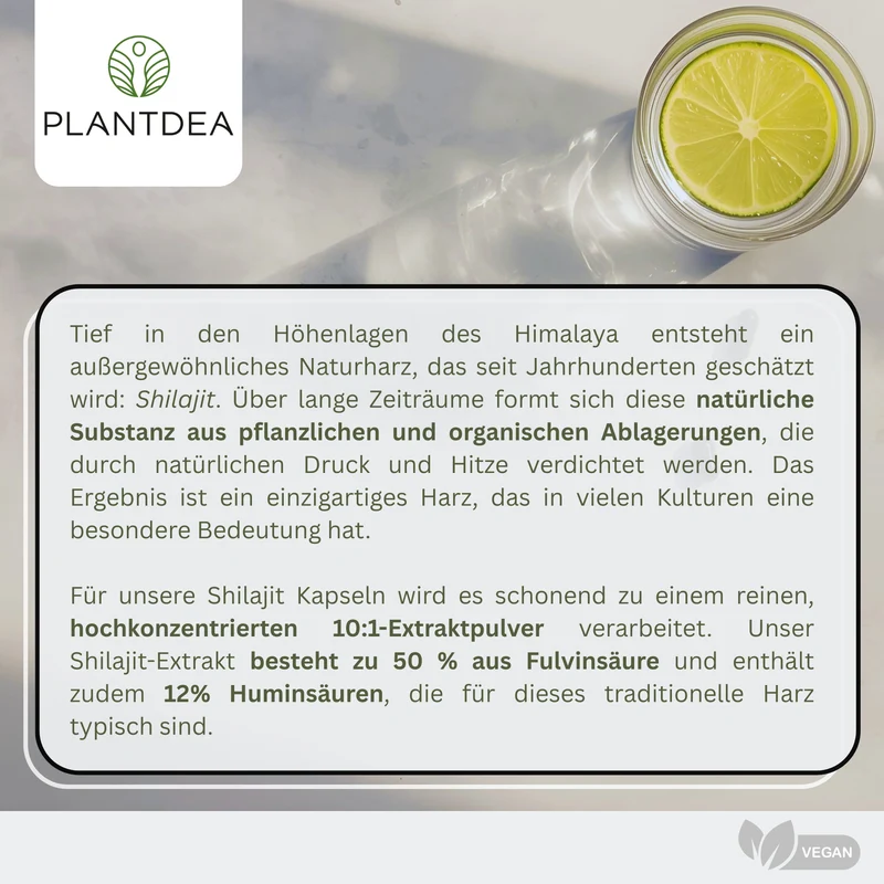 Shilajit Extrakt Kapseln