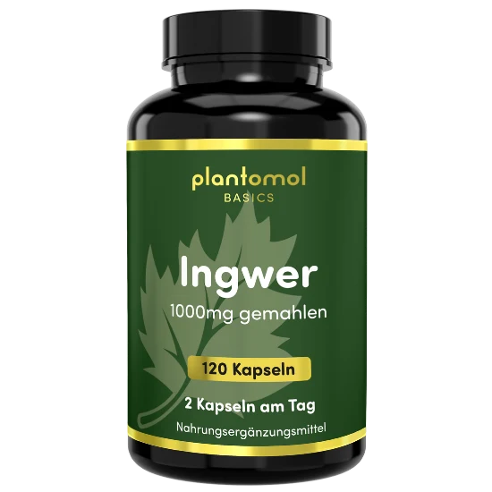 Ingwer - 1000mg pro Tag