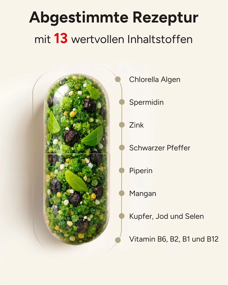Spermidin - 3mg Spermidin pro Tag