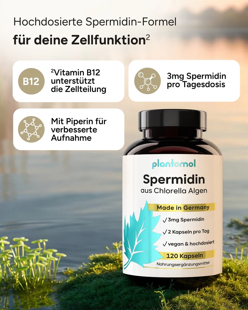 Spermidin - 3mg Spermidin pro Tag