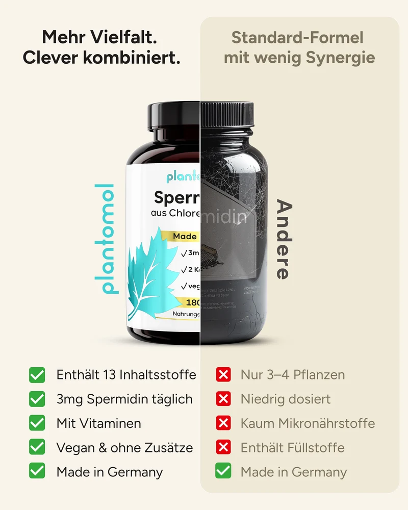 Spermidin - 3mg Spermidin pro Tag