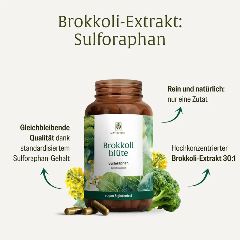Brokkoliblüte: Hochdosiertes Sulforaphan aus Brokkoli-Extrakt