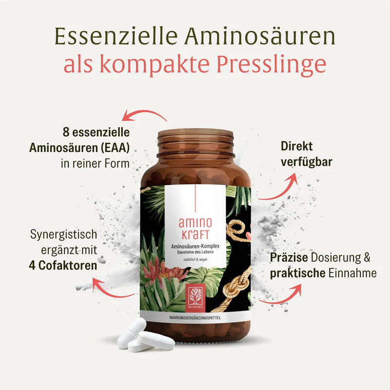 Rundum Fit Sparpaket: Kreatinquelle, Muskelration & Aminokraft