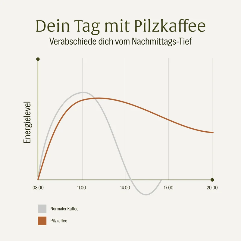 Pilzkaffee: Löwenmähne, Chaga, Reishi & Cordyceps