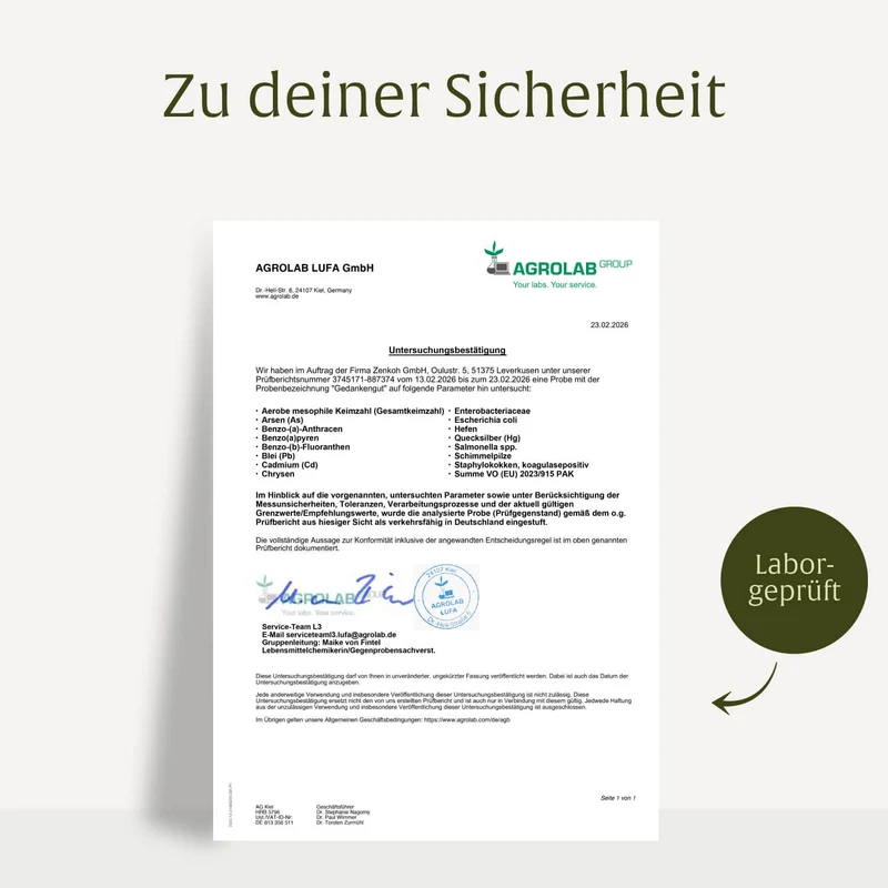 Gedankengut: Löwenmähne, Brahmi, Ginkgo, Cystein, Cholin & B-Vitamine