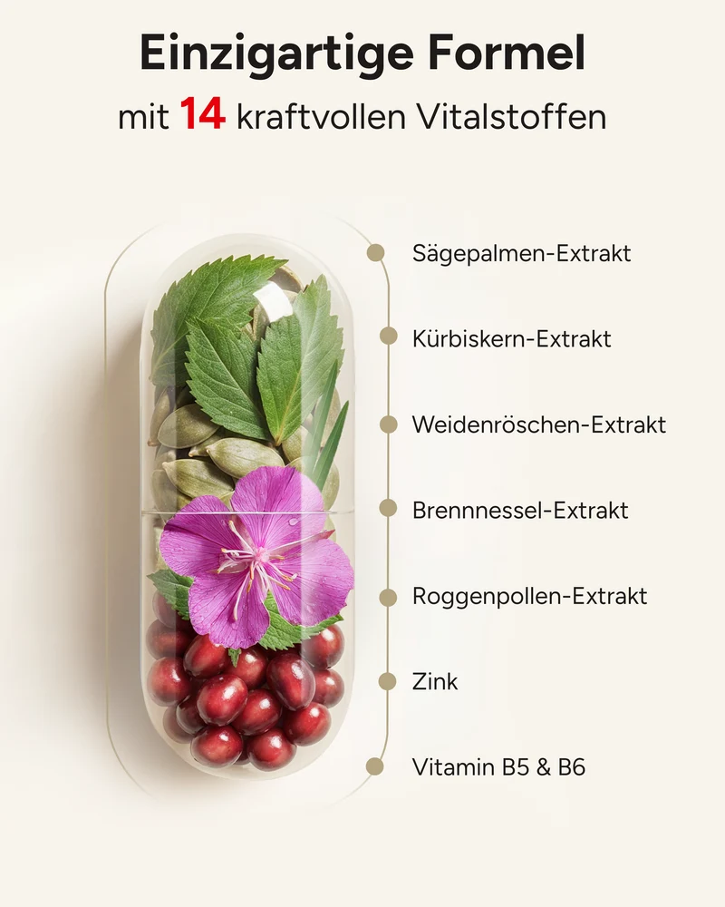 Prosta PLUS - mit Weidenröschen-, Roggenpollen-und Sägepalmen-Extrakt