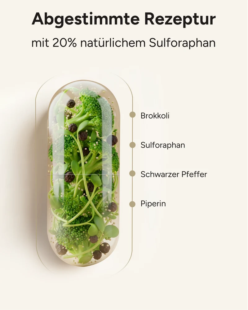 Brokkoli-Extrakt - mit 90mg Sulforaphan pro Kapsel