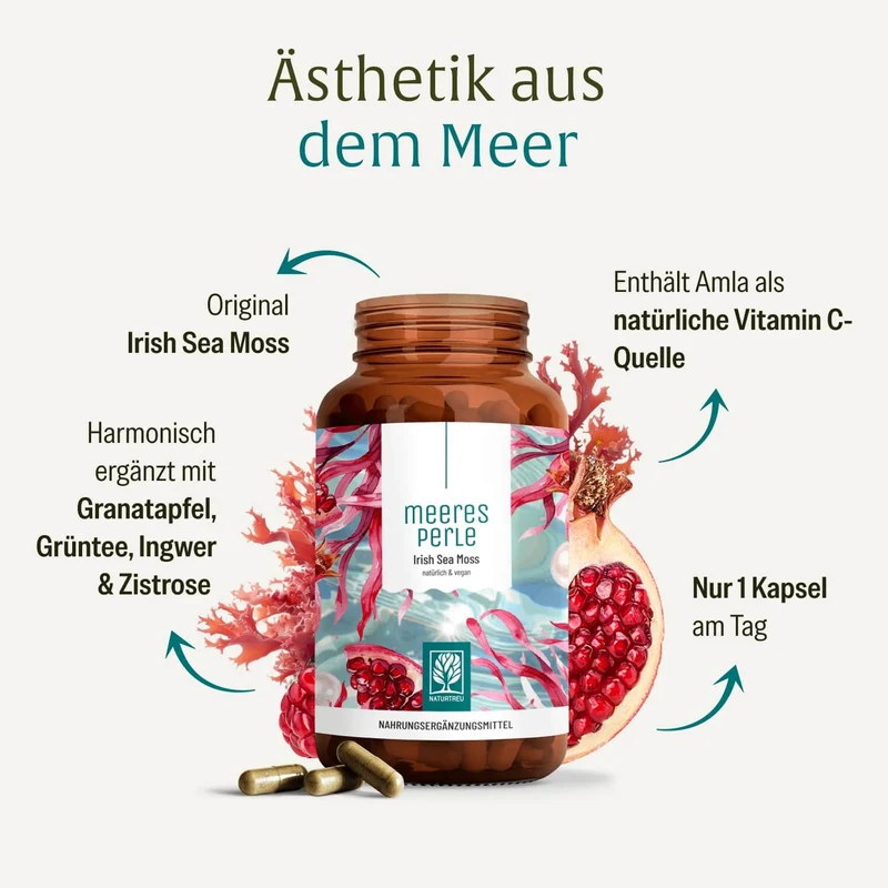 Meeresperle: Irish Sea Moss Kapseln