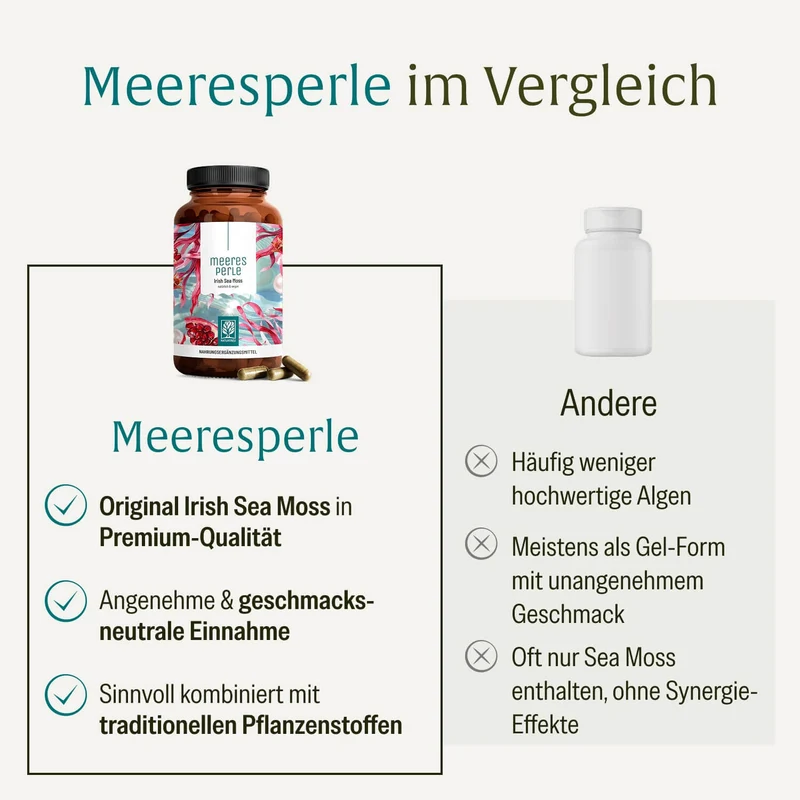 Meeresperle: Irish Sea Moss Kapseln