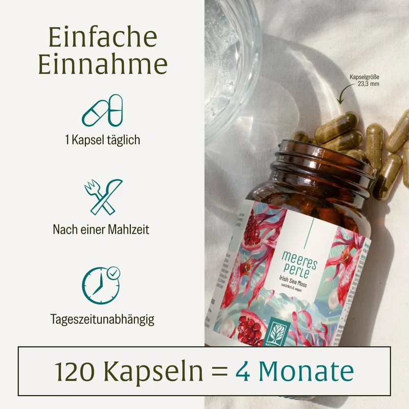 Meeresperle: Irish Sea Moss Kapseln