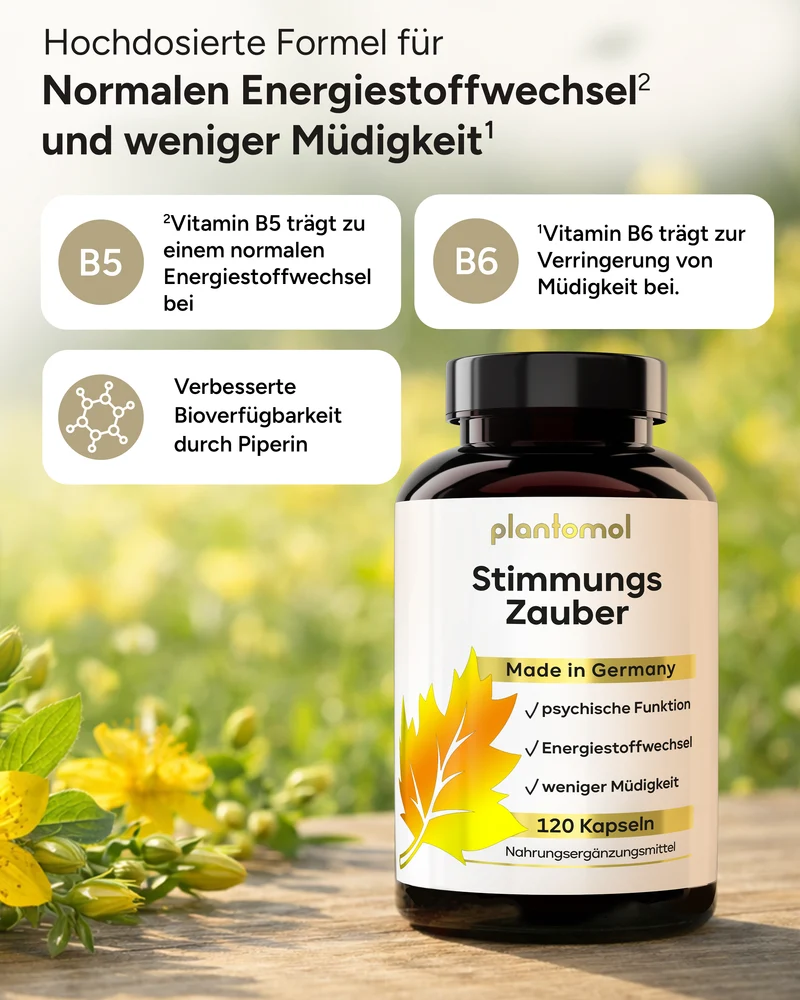 Stimmungszauber - mit Johanniskraut, GABA & L-Tryptophan