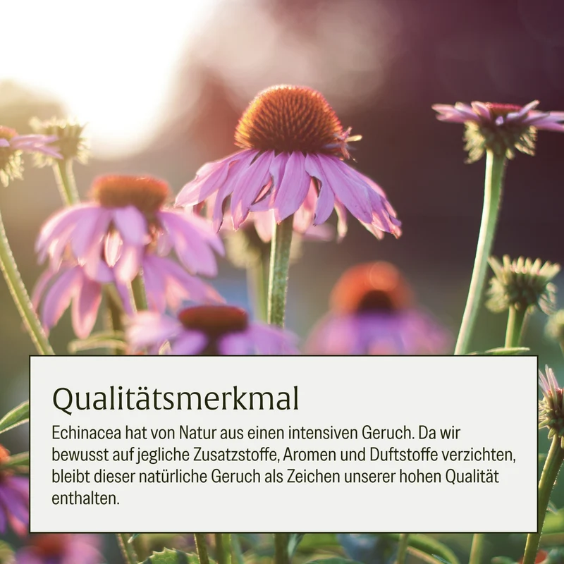 Schutzschild: Immun-Komplex¹