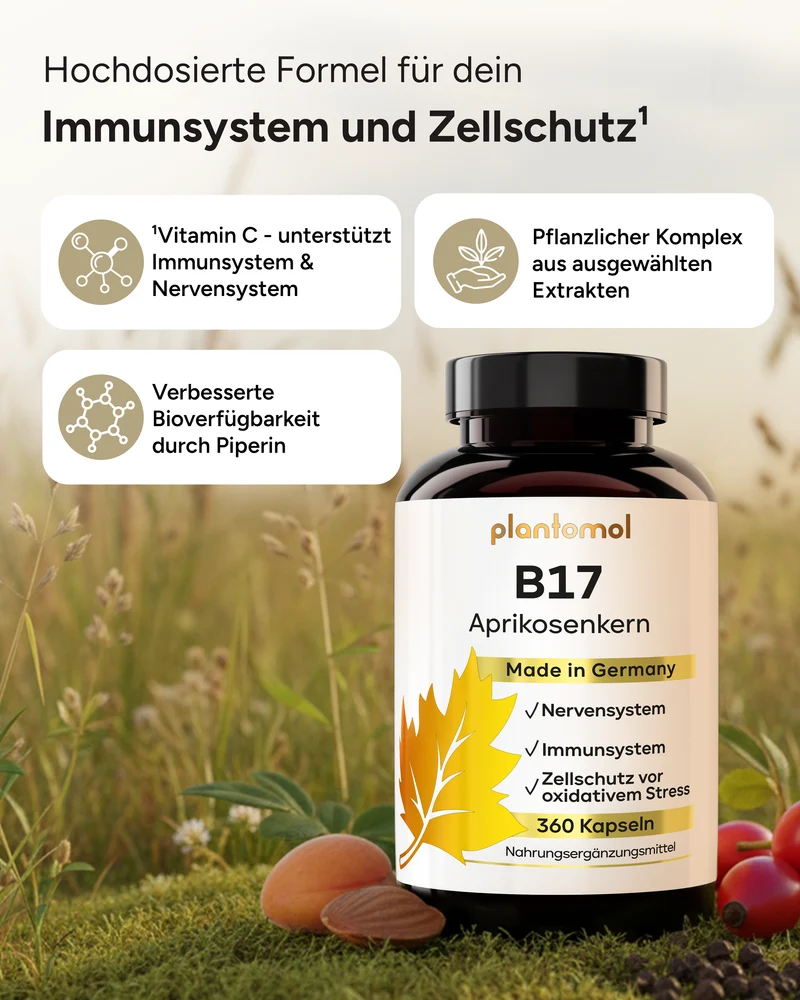B17 - 1100mg Aprikosenkern-Extrakt pro Tag und Vitamin C