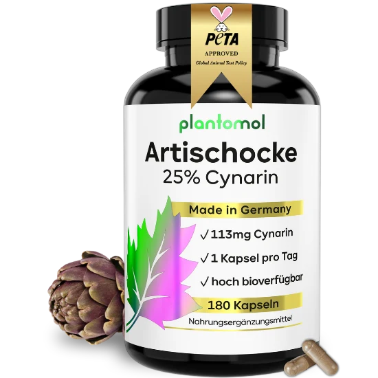 Artischocken-Extrakt - 113mg Cynarin pro Kapsel