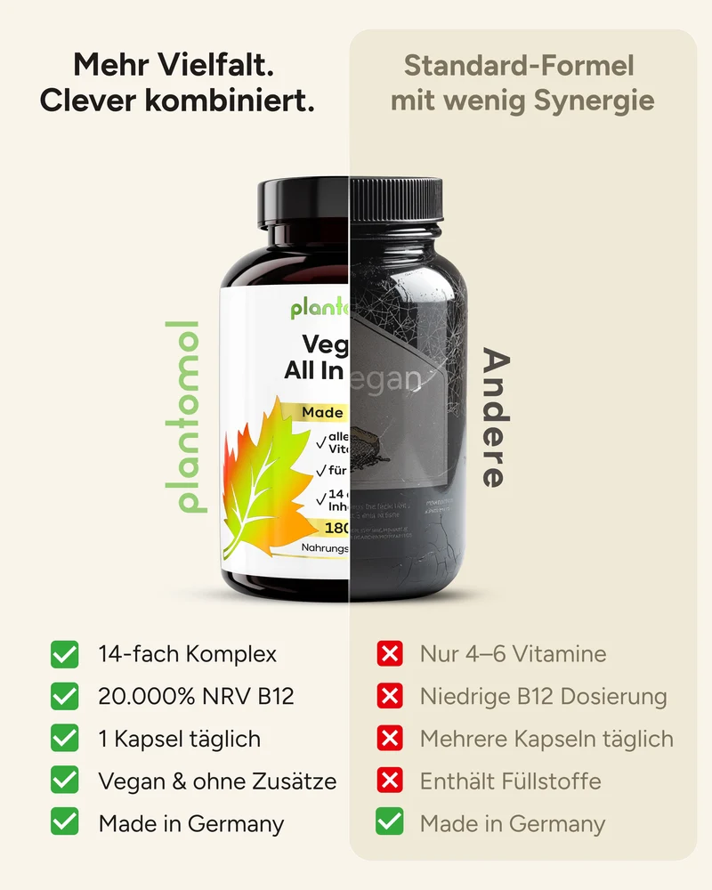 Vegan All In One - Vitamin Komplex mit B12, D3, K2