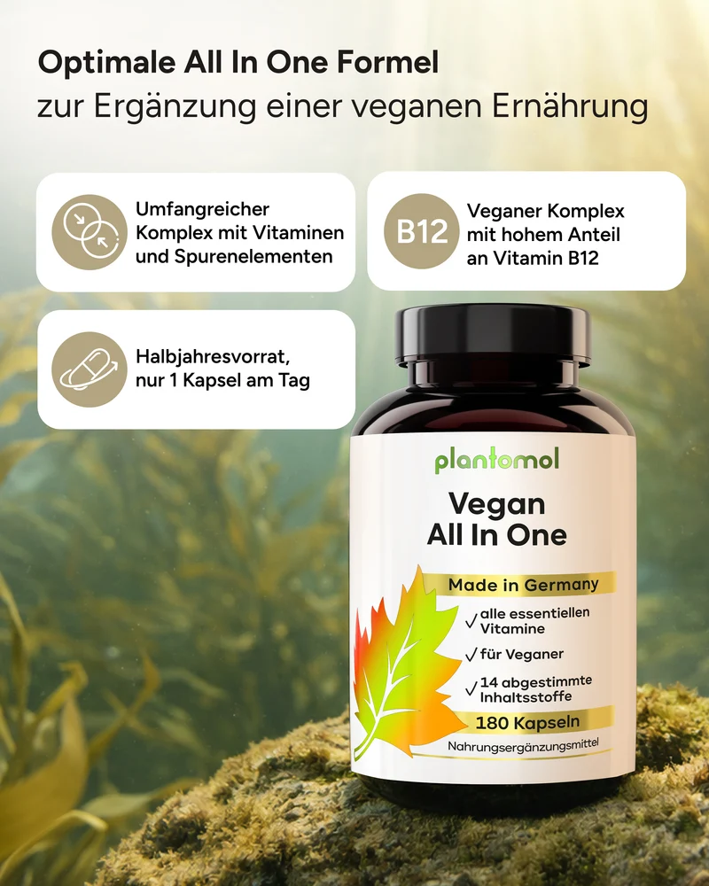 Vegan All In One - Vitamin Komplex mit B12, D3, K2
