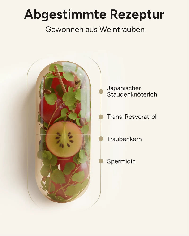 Spermidin-Resveratrol - 6mg Spermidin mit 800mg Trans-Resveratrol pro Tag