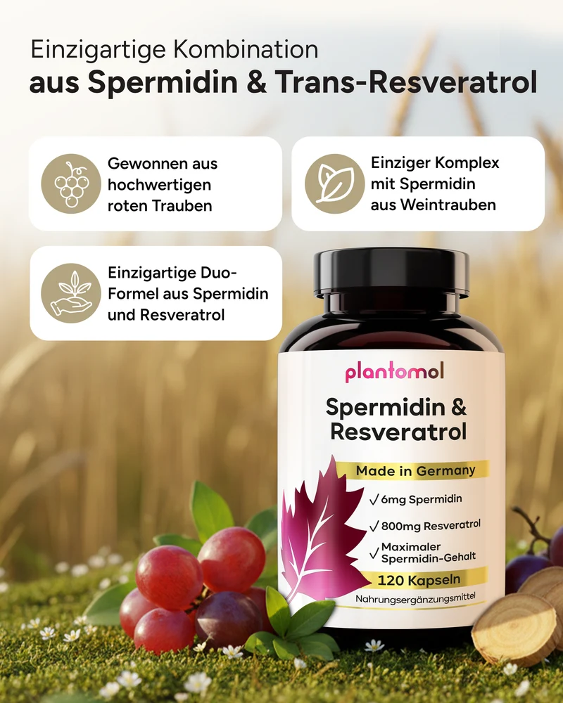 Spermidin-Resveratrol - 6mg Spermidin mit 800mg Trans-Resveratrol pro Tag