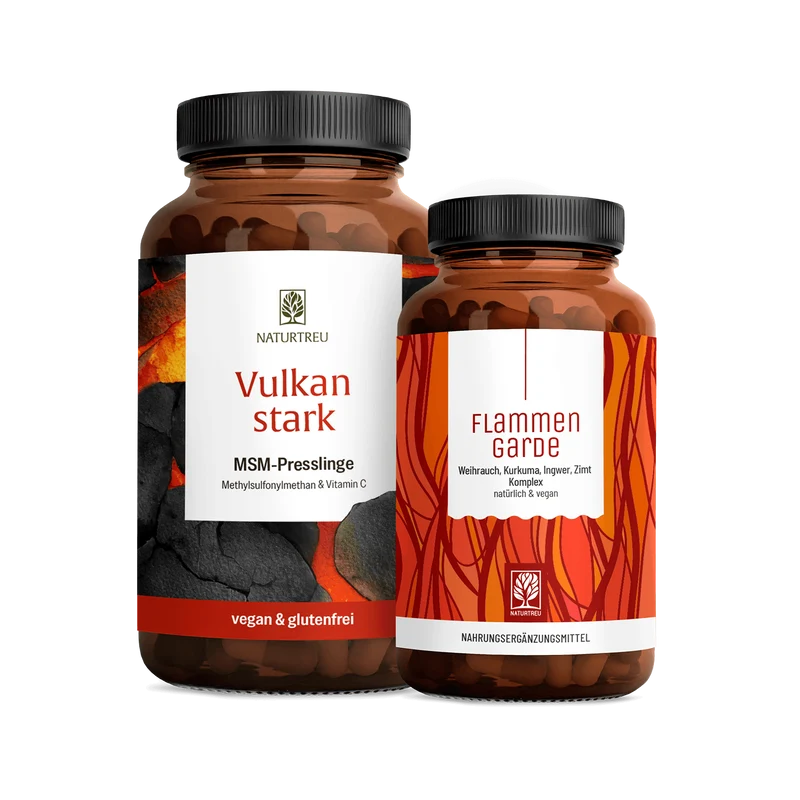 Körperstärke Sparpaket: Vulkanstark & Flammengarde