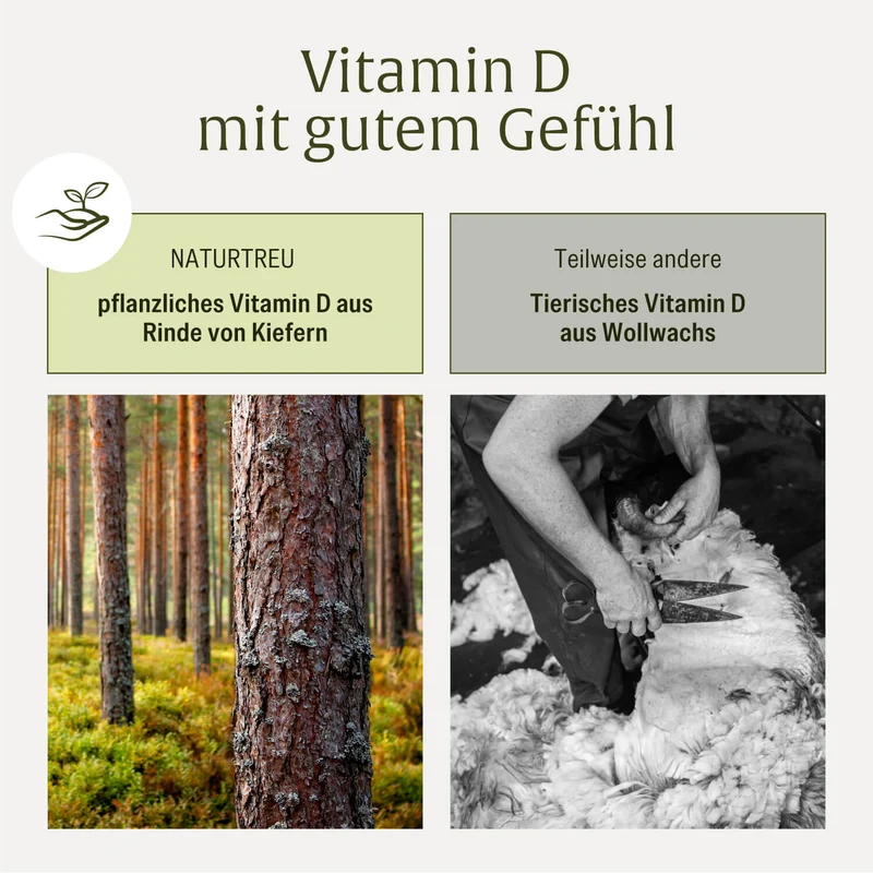 Sonnenschatz: Veganes Vitamin D3 5.000 I.E. mit K2 & Magnesium (5 Tage Depot)