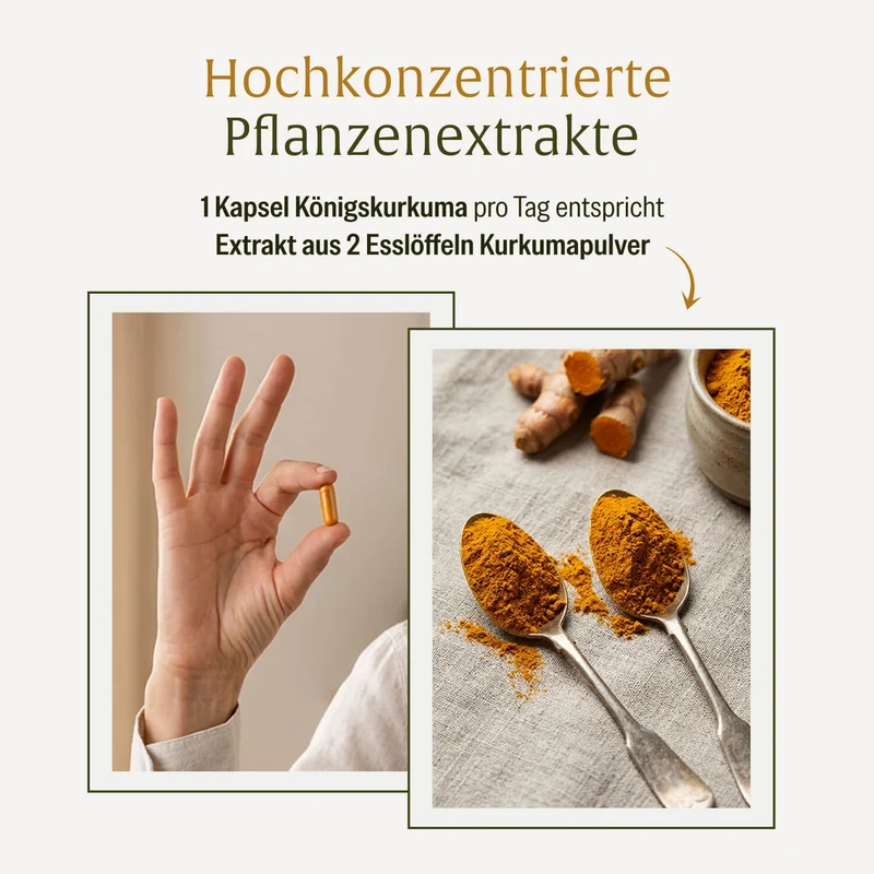 Königskurkuma: Curcumera® Premium-Komposition