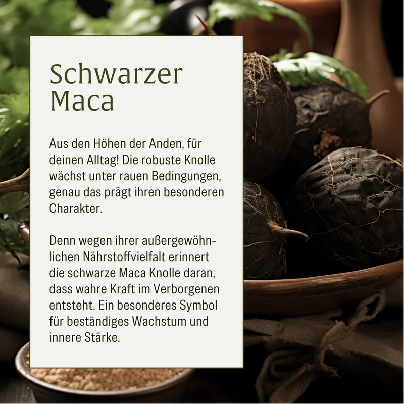 Heldenkraft: Maca-Komplex mit Tribulus