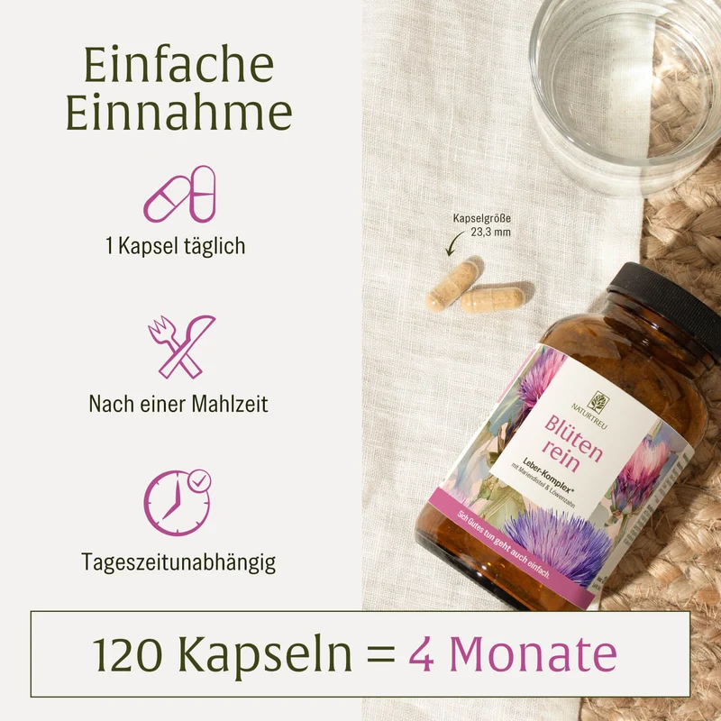 Blütenrein: Leber-Komplex mit Mariendistel
