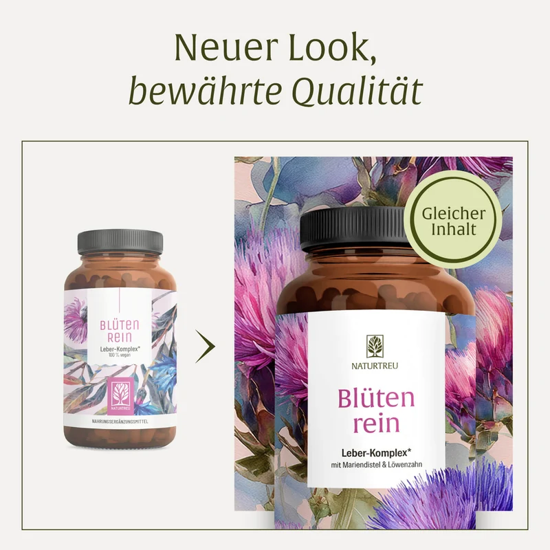 Blütenrein: Leber-Komplex mit Mariendistel