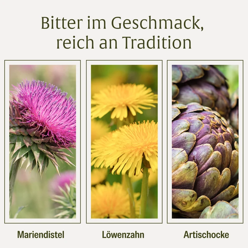 Blütenrein: Leber-Komplex mit Mariendistel
