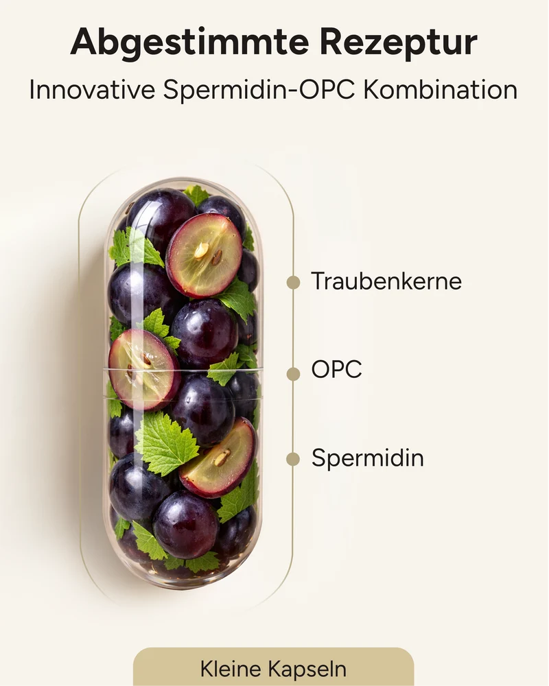 Spermidin-OPC - 6mg Spermidin mit 250mg OPC pro Kapsel