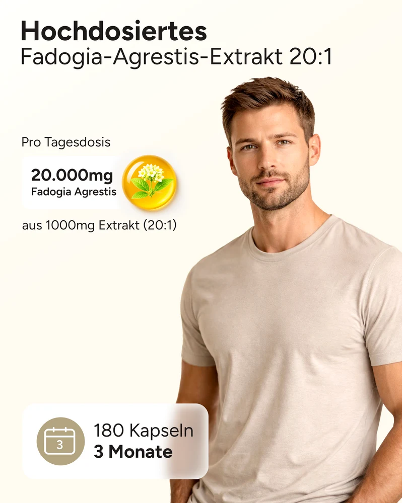 Fadogia Agrestis - 20:1 Extraktverhältnis