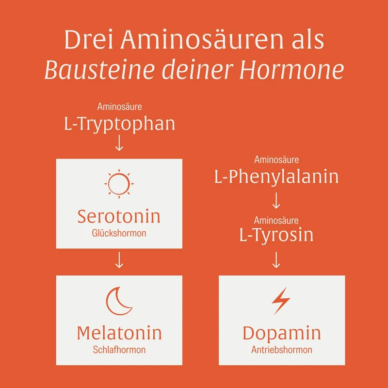 Motivationskick: L-Tyrosin-Komplex mit L-Tryptophan & L-Phenylalanin