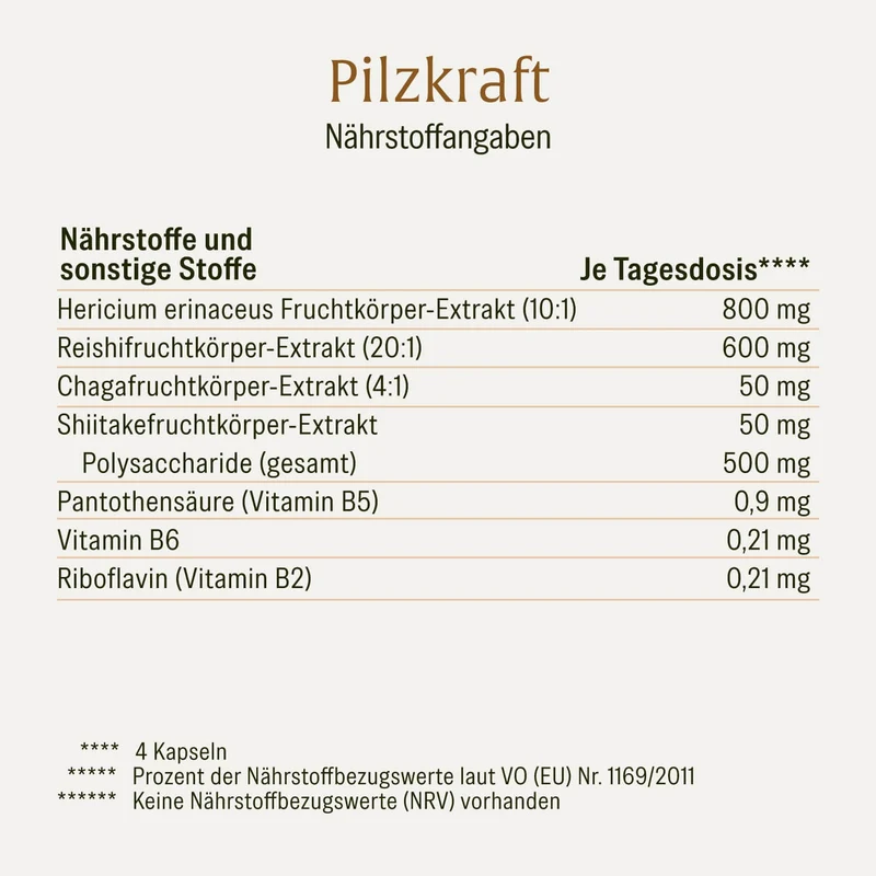 Pilzkraft: Reishi, Shiitake, Chaga & Löwenmähne