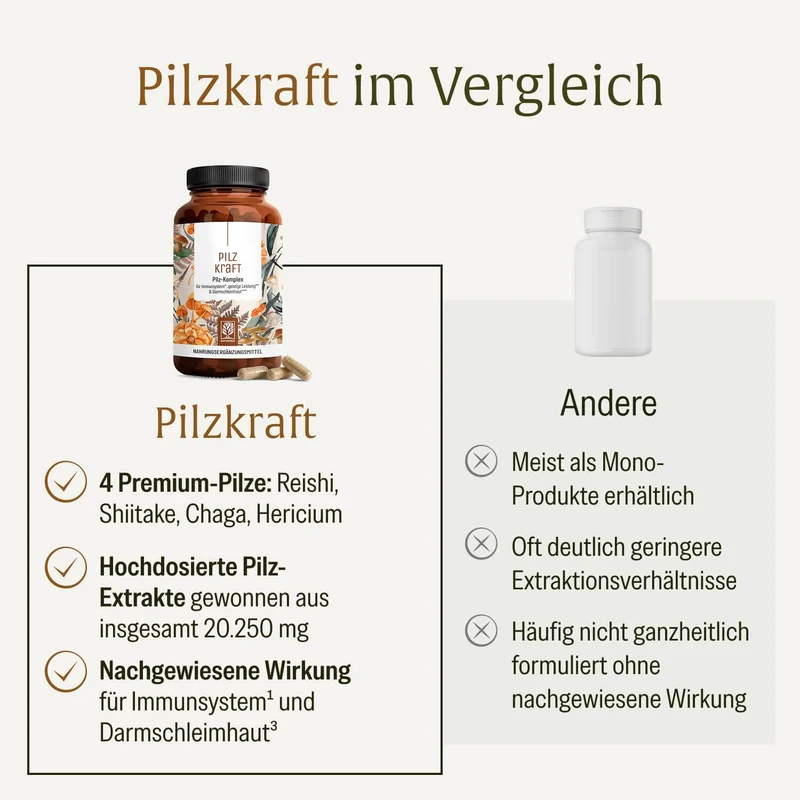 Pilzkraft: Reishi, Shiitake, Chaga & Löwenmähne