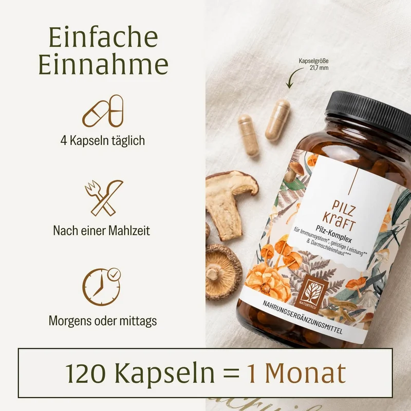 Pilzkraft: Reishi, Shiitake, Chaga & Löwenmähne